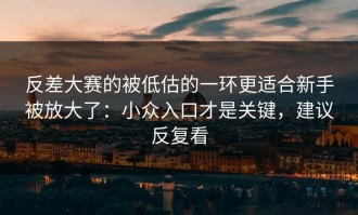 反差大赛的被低估的一环更适合新手被放大了：小众入口才是关键，建议反复看