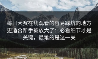 每日大赛在线观看的容易踩坑的地方更适合新手被放大了：必看细节才是关键，最难的是这一关