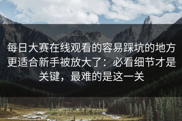 每日大赛在线观看的容易踩坑的地方更适合新手被放大了：必看细节才是关键，最难的是这一关